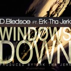 DB-ERK-WINDOWSDOWN