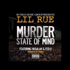 murderstate