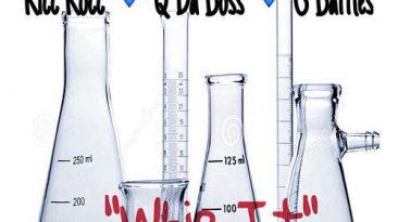 Whip It (feat. Q da Boss & G. Battles) - Single Ricc Rocc