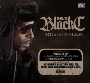 cutout front (700x644).jpg