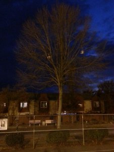 20131218_172138 (2).jpg