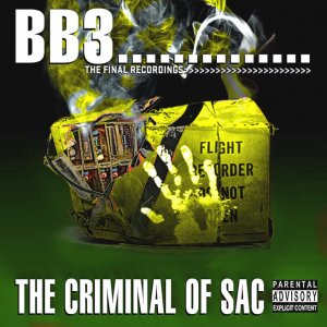 BB3_COVER.jpg