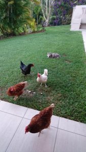 2016-02-21 18.23.25.jpg