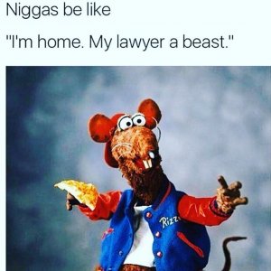 rat.jpg