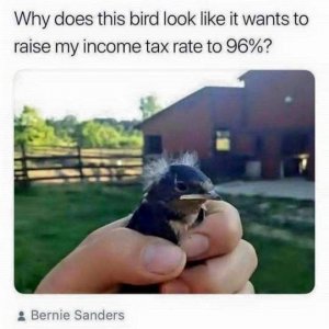sanders_taxing.jpg