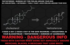 07 WARNING - DANGEROUS INFO - CHOLESTEROL TO TESTOSTERONE.jpg