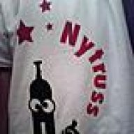 Nytruss